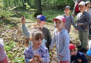 Dzieci słuchają informacji o lesie