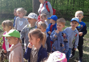 Dzieci słuchają informacji o lesie