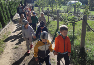 Dzieci w drodze na spotkanie z alpakami