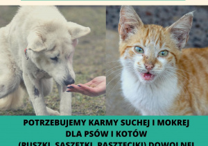 Zdjęcie 1 na 1