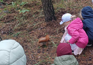 Wrzesień, październik - grupa V