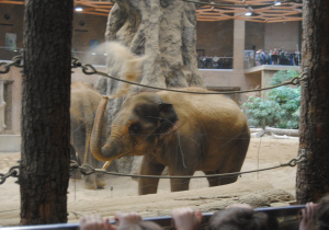 Wycieczka do Orientarium