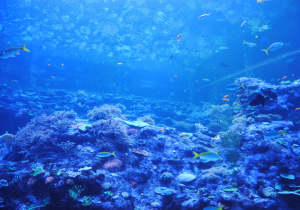 Wycieczka do Orientarium