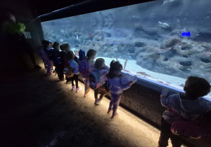 Wycieczka do Orientarium