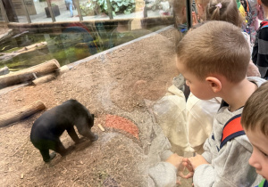 Wycieczka do Orientarium