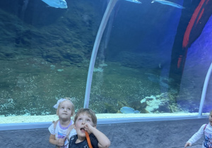 Wycieczka do Orientarium