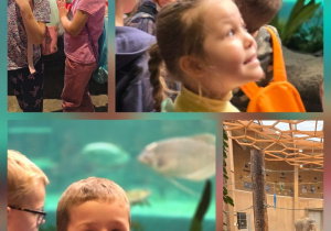 Wycieczka do Orientarium