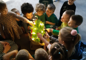 Oglądanie dekoracji światecznych