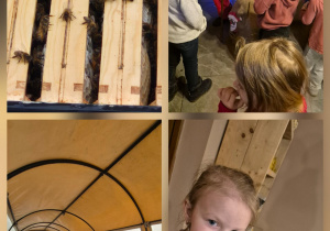 Wycieczka do Pasieki - Gajówka