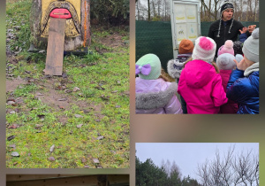 Wycieczka do Pasieki - Gajówka