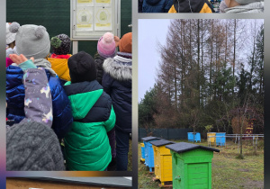 Wycieczka do Pasieki - Gajówka
