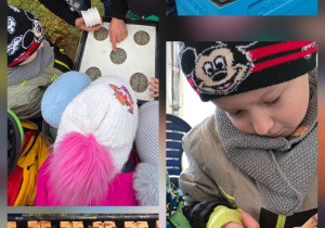 Wycieczka do Pasieki - Gajówka