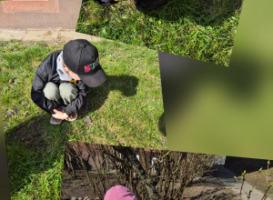 Szukamy wiosny - grupa IV